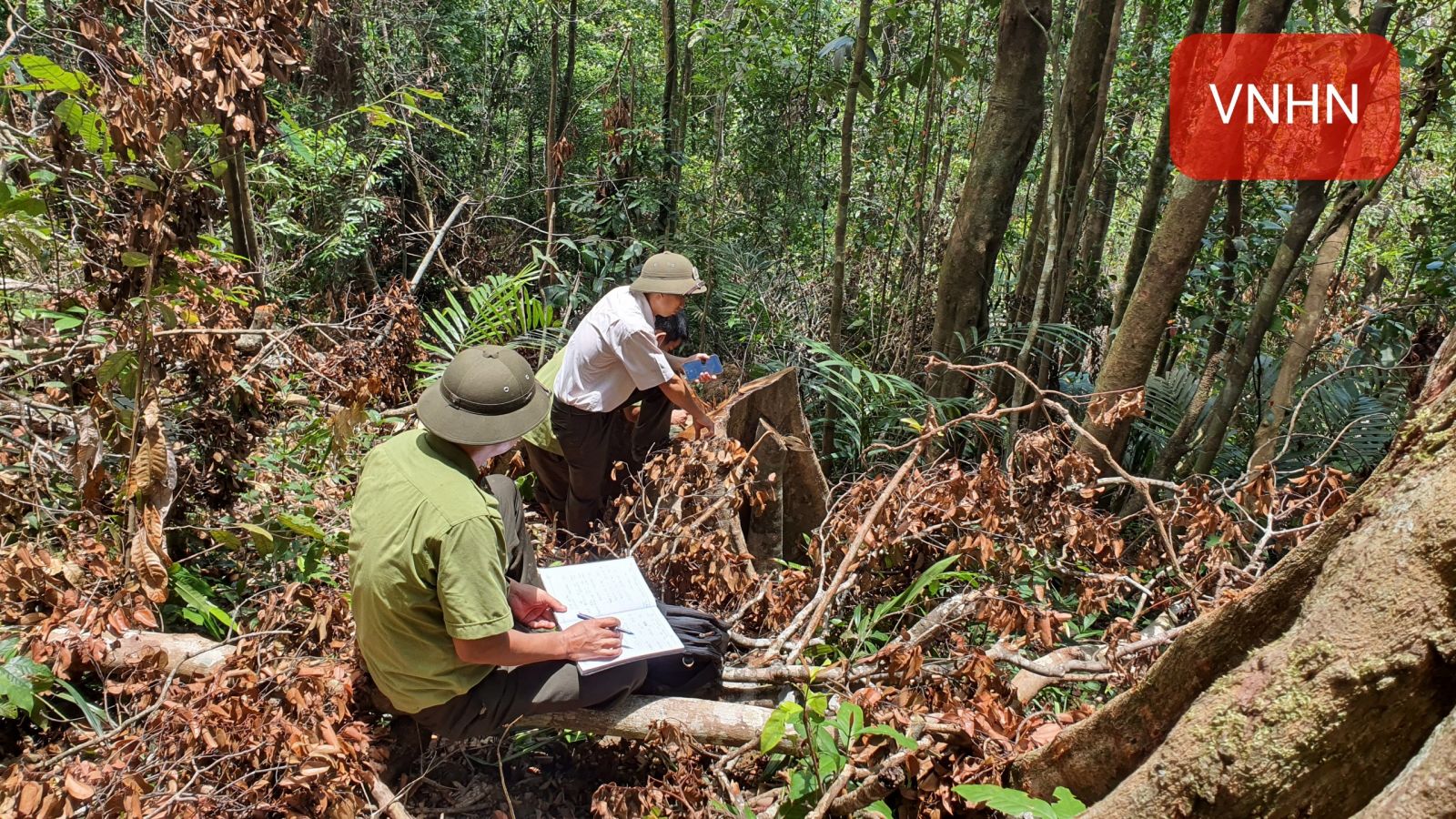 Đắk Lắk: Cơ quan chức năng vào cuộc sau khi báo chí phản ánh vụ phá rừng, trái phép tại huyện M’Drắk